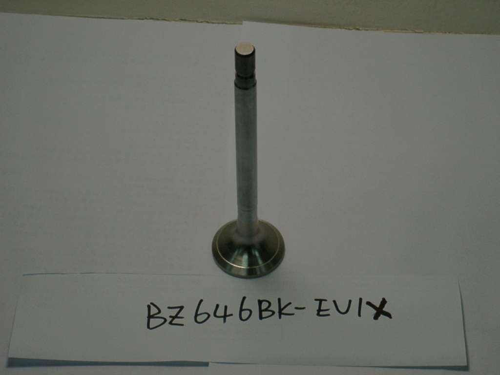 BZ646BK-EV1X
