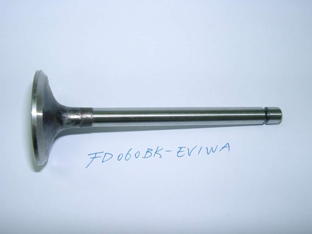 FD060BK-EV1WA