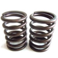 VALVE SPRING