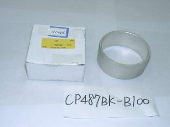 CP487BK-B100