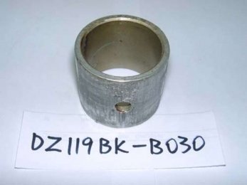 DZ119BK-B030